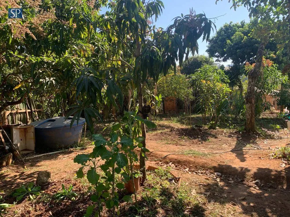 Chácara, 4 quartos, 1462 m² - Foto 4