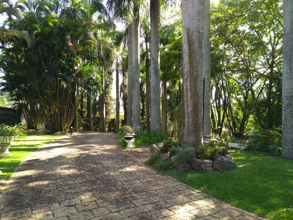 Chácara, 4 quartos, 5000 m² - Foto 2