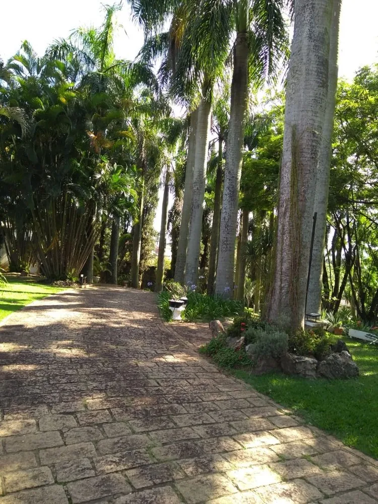 Chácara, 4 quartos, 5000 m² - Foto 3