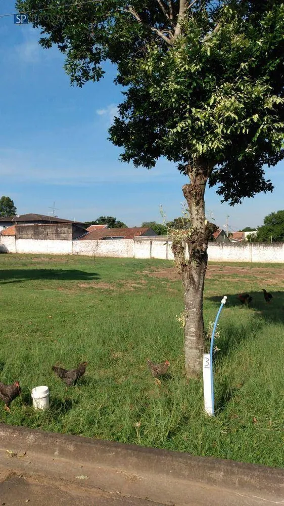 Loteamento e Condomínio, 564 m² - Foto 3