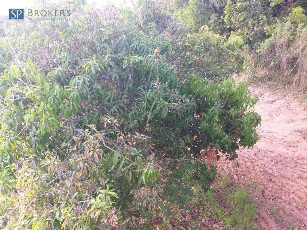 Loteamento e Condomínio, 604 m² - Foto 4