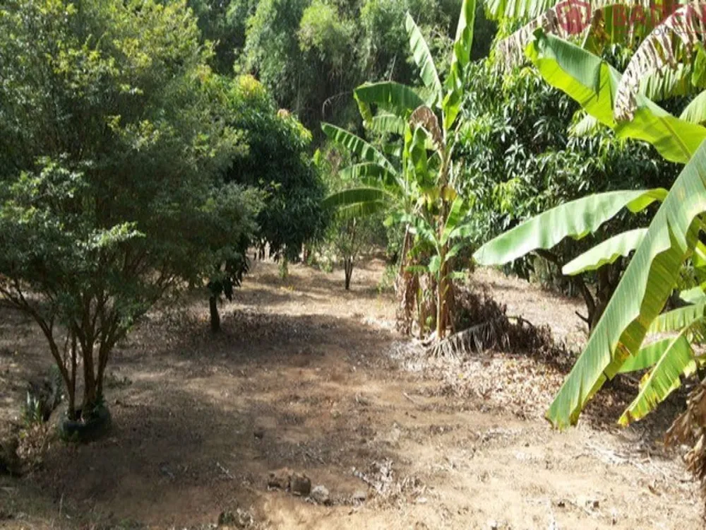 Terreno, 1770 m² - Foto 3