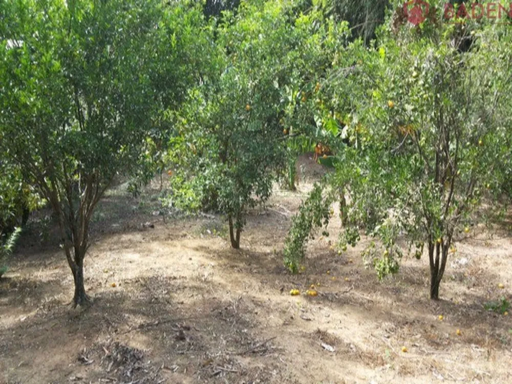 Terreno, 1770 m² - Foto 4