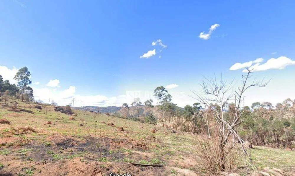 Terreno, 3 hectares - Foto 1