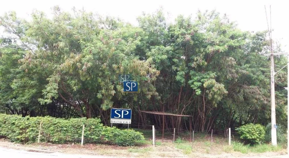Terreno, 3 hectares - Foto 4