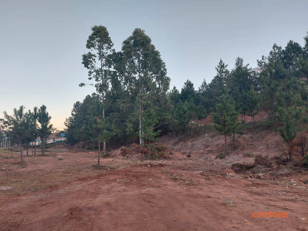 Terreno, 7480 m² - Foto 8