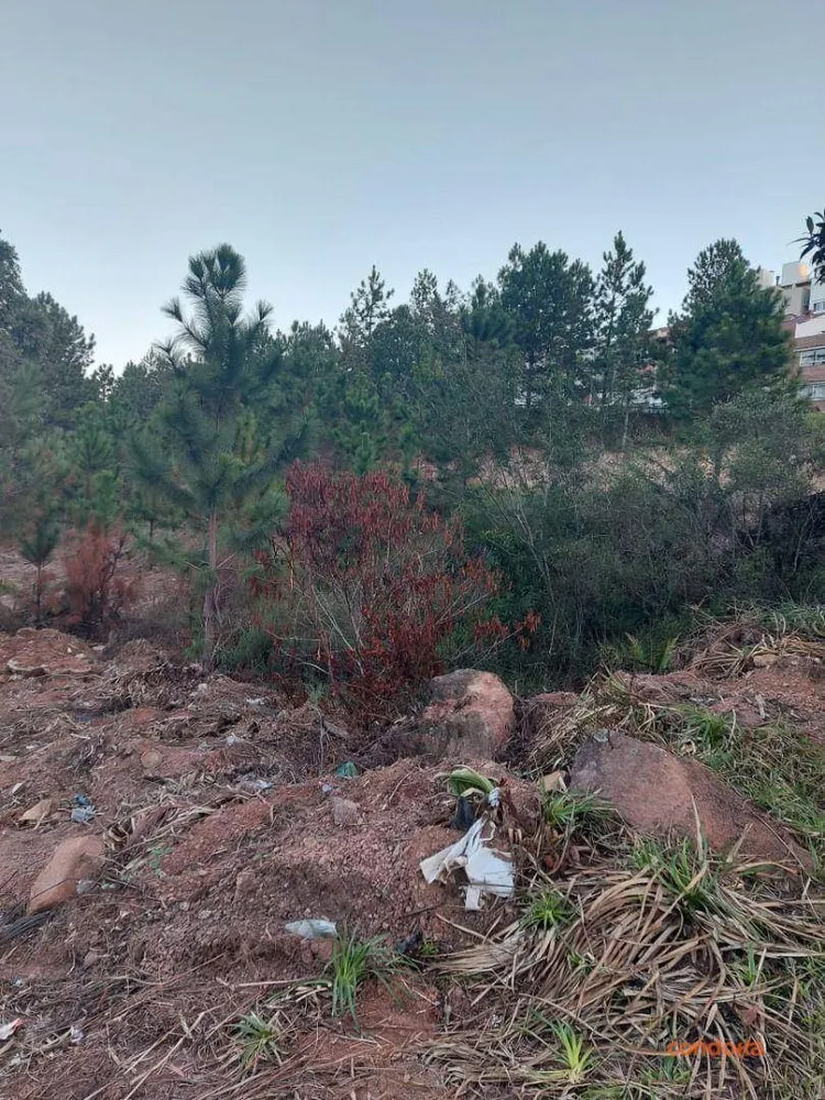 Terreno, 7480 m² - Foto 10