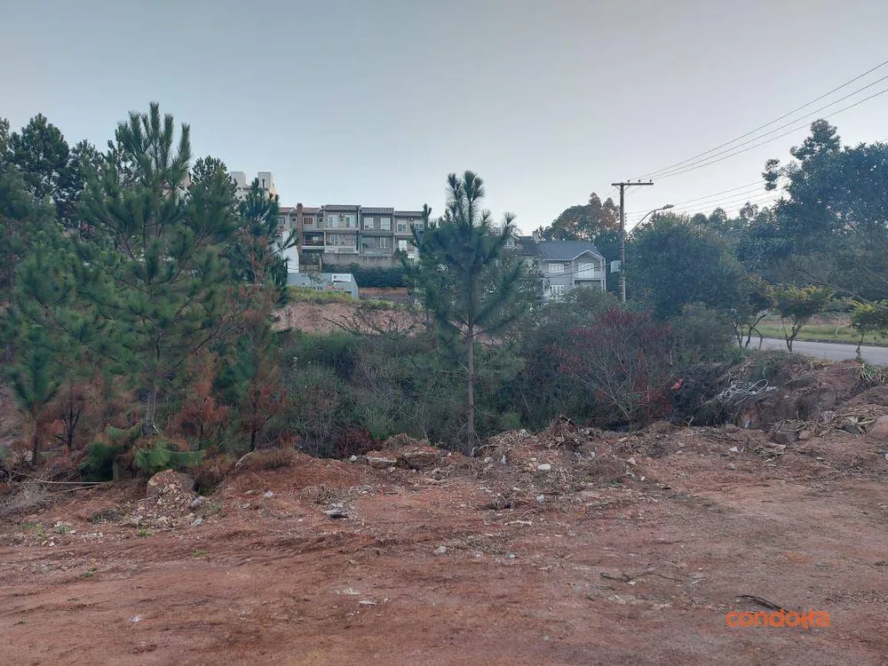 Terreno, 7480 m² - Foto 6