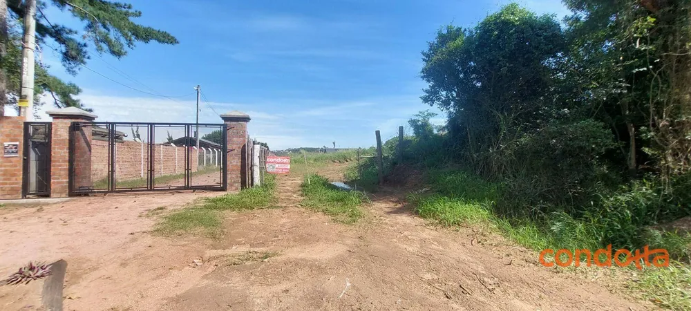 Terreno, 6000 m² - Foto 3