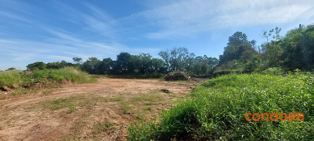 Terreno, 6000 m² - Foto 5