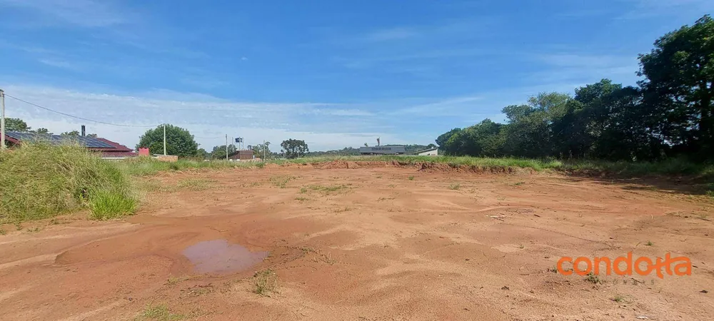 Terreno, 6000 m² - Foto 4