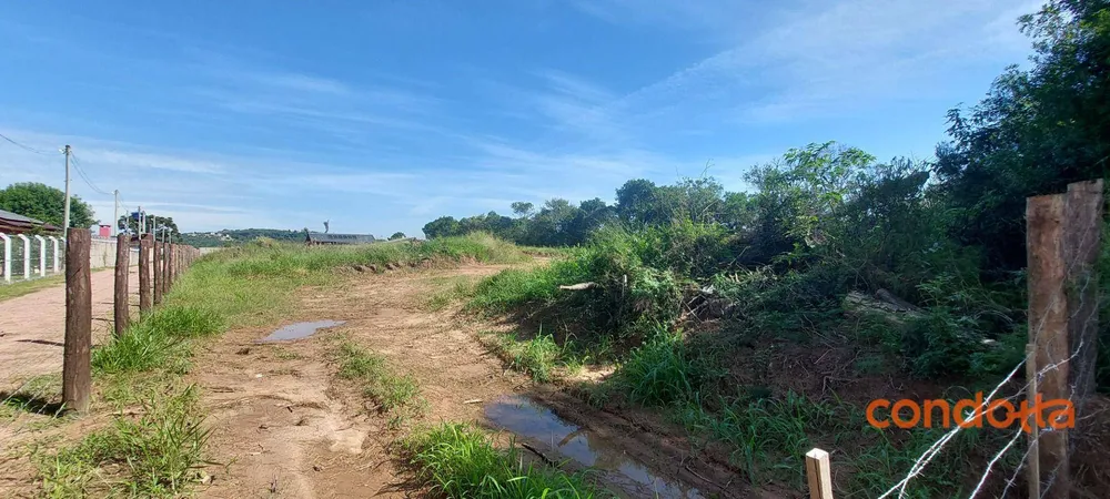 Terreno, 6000 m² - Foto 1