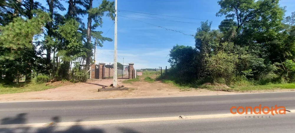 Terreno, 6000 m² - Foto 8