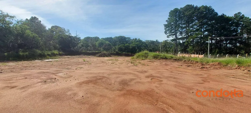 Terreno, 6000 m² - Foto 7
