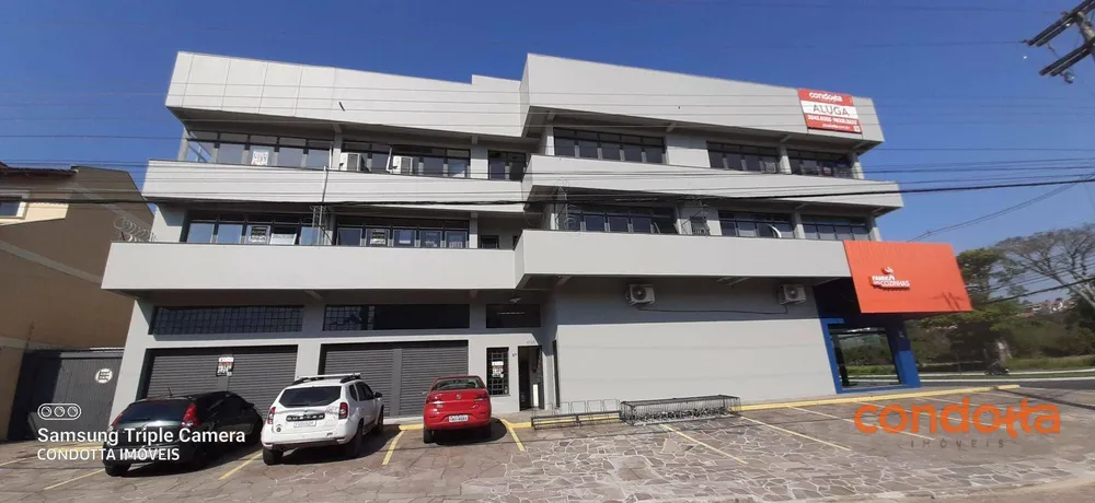 Sala-Conjunto, 360 m² - Foto 7