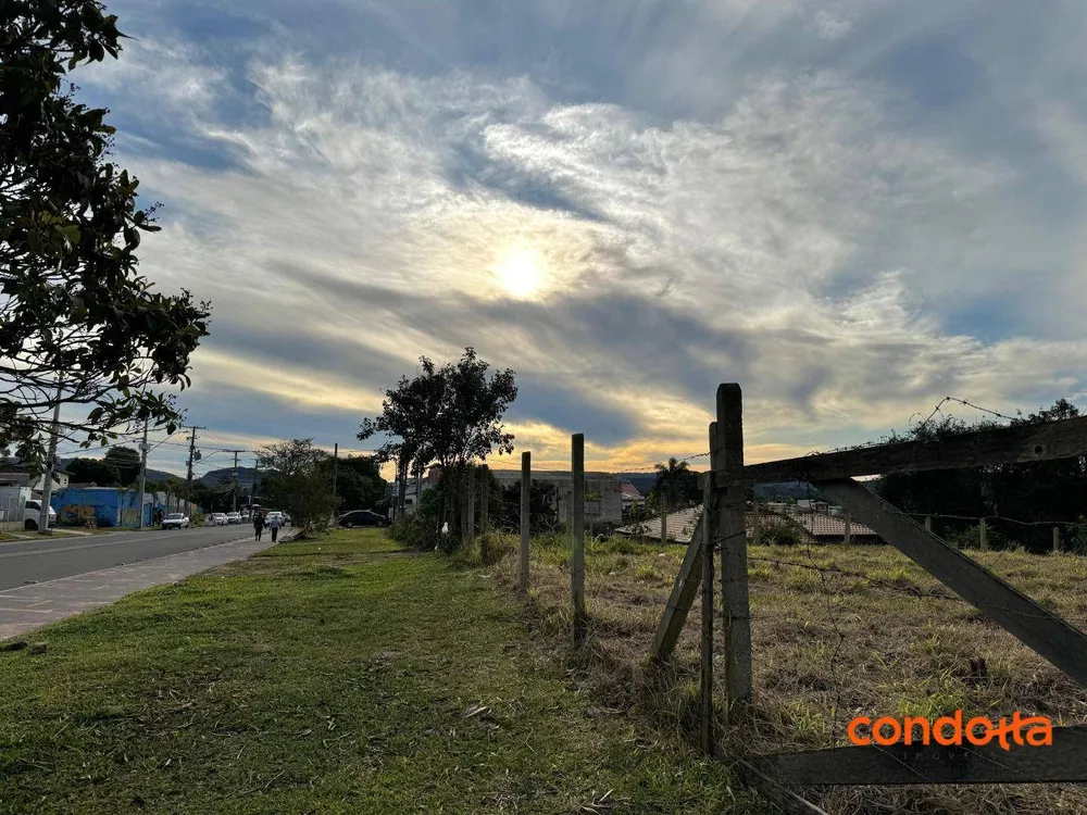 Terreno, 300 m² - Foto 5