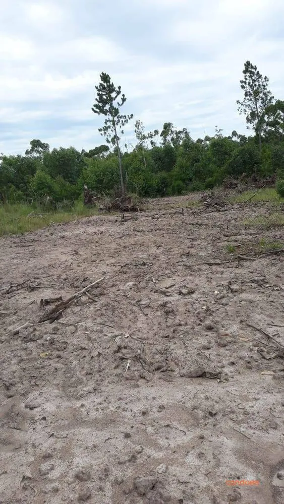 Terreno, 550 m² - Foto 4