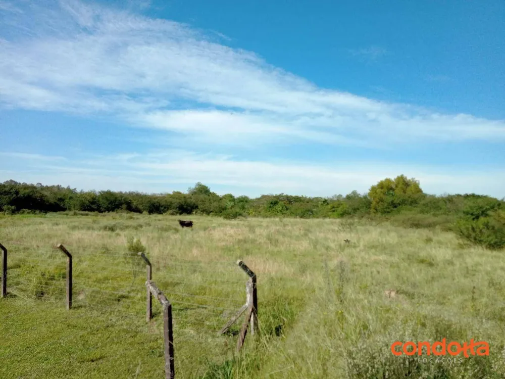 Terreno, 10000 m² - Foto 14