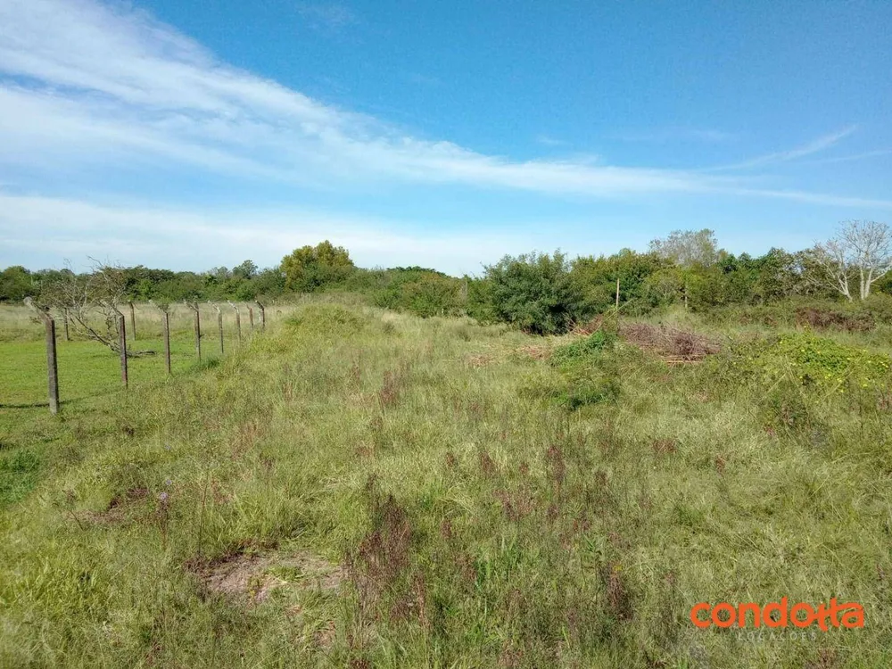 Terreno, 10000 m² - Foto 12