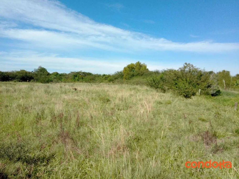 Terreno, 10000 m² - Foto 16