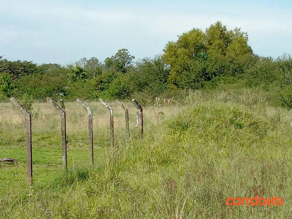 Terreno, 10000 m² - Foto 8