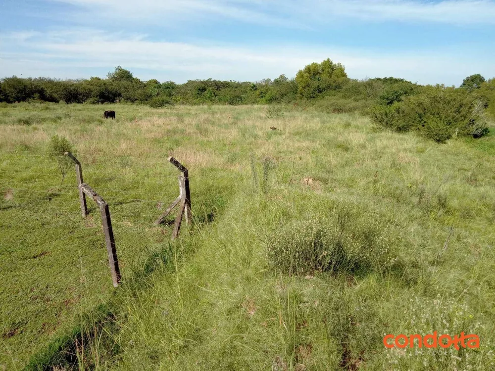 Terreno, 10000 m² - Foto 13