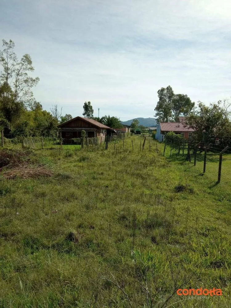 Terreno, 10000 m² - Foto 9