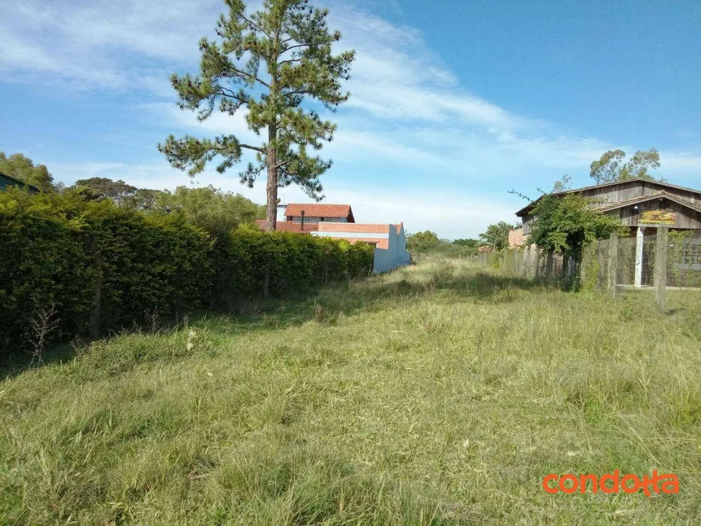 Terreno, 10000 m² - Foto 6