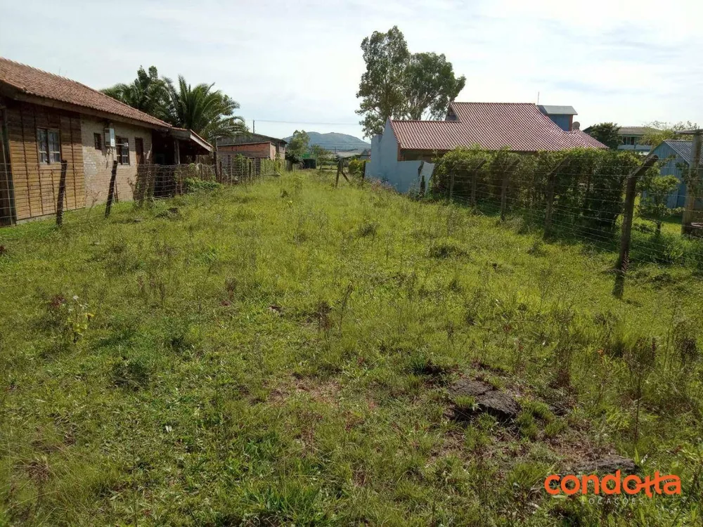 Terreno, 10000 m² - Foto 7
