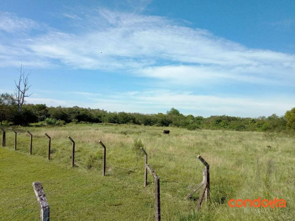 Terreno, 10000 m² - Foto 5