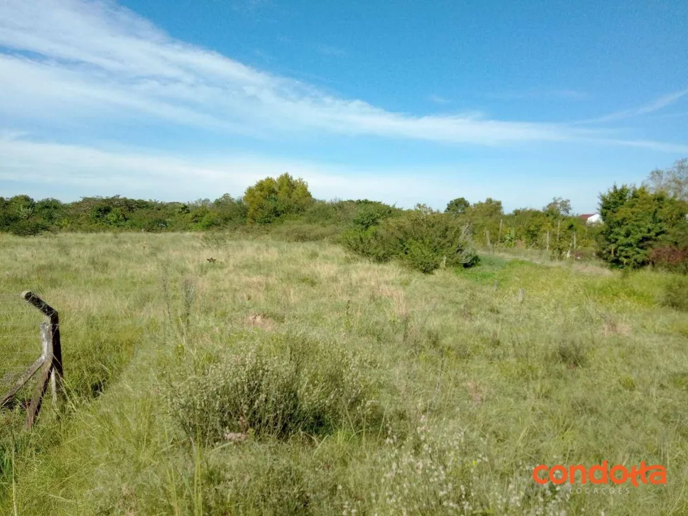 Terreno, 10000 m² - Foto 11