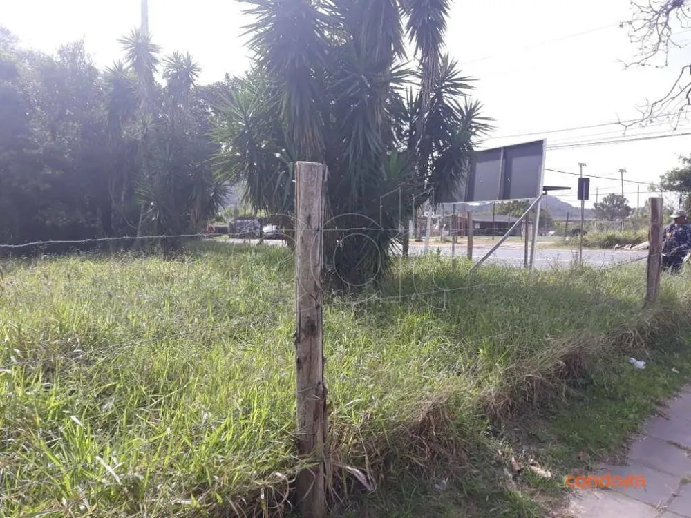 Terreno, 958 m² - Foto 7