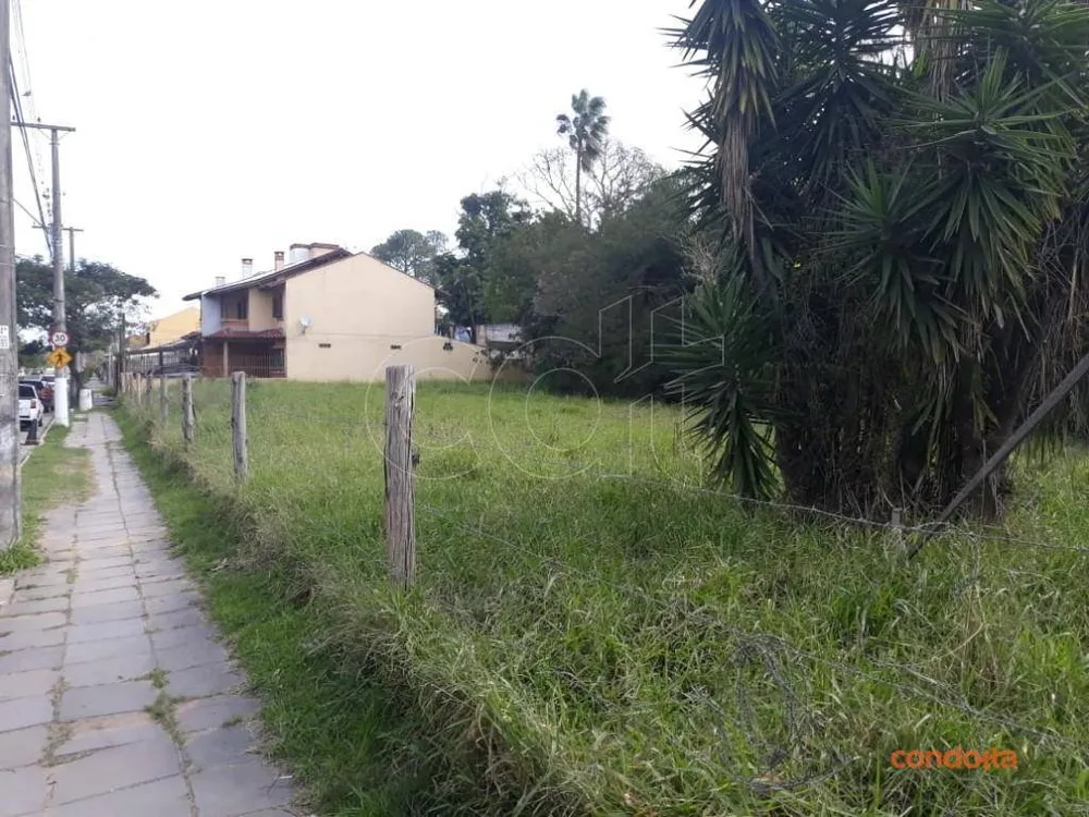 Terreno, 958 m² - Foto 6