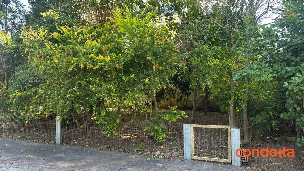 Casa, 4 quartos, 150 m² - Foto 4