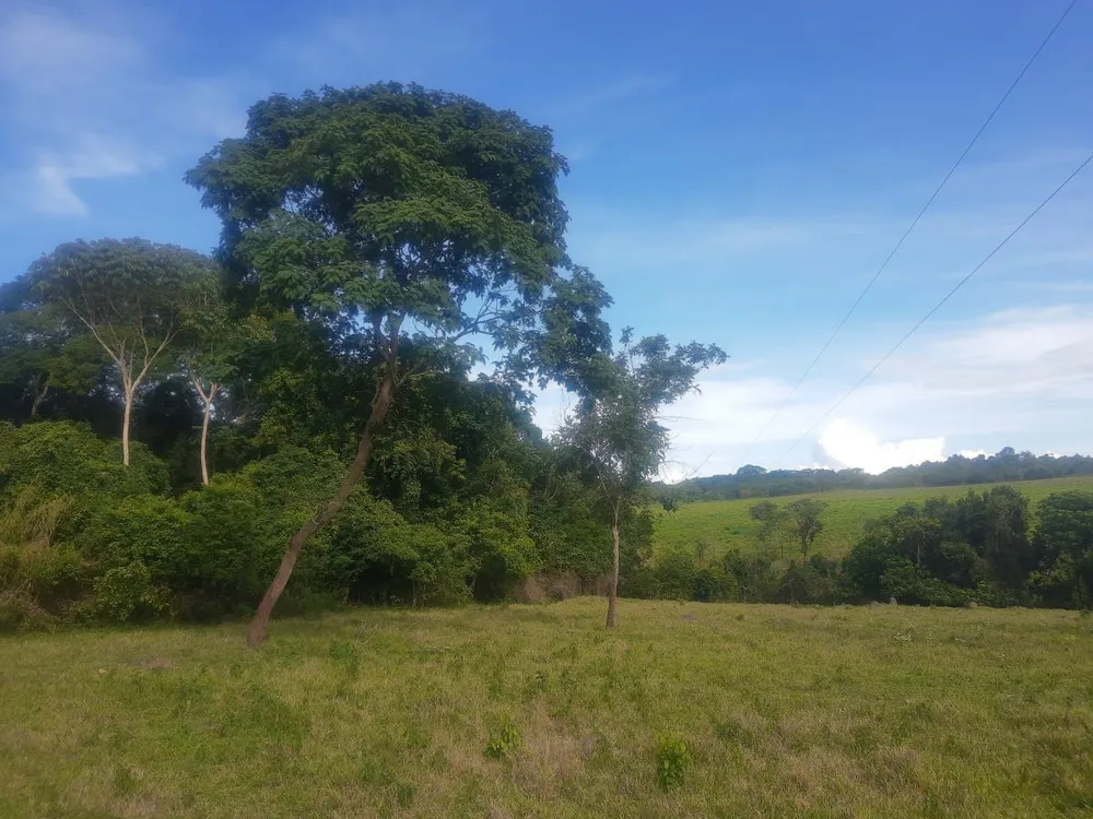 Fazenda, 4 hectares - Foto 11