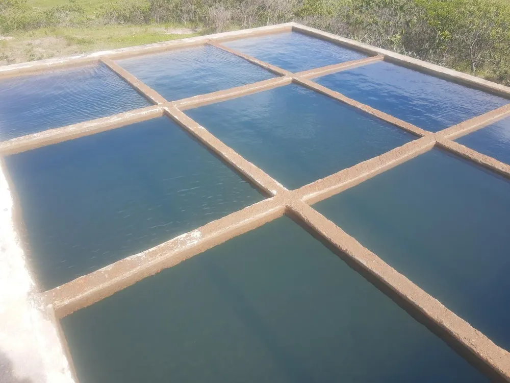 Fazenda, 4 hectares - Foto 19
