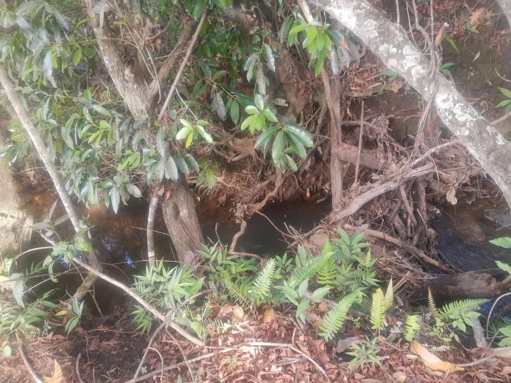 Fazenda, 4 hectares - Foto 13