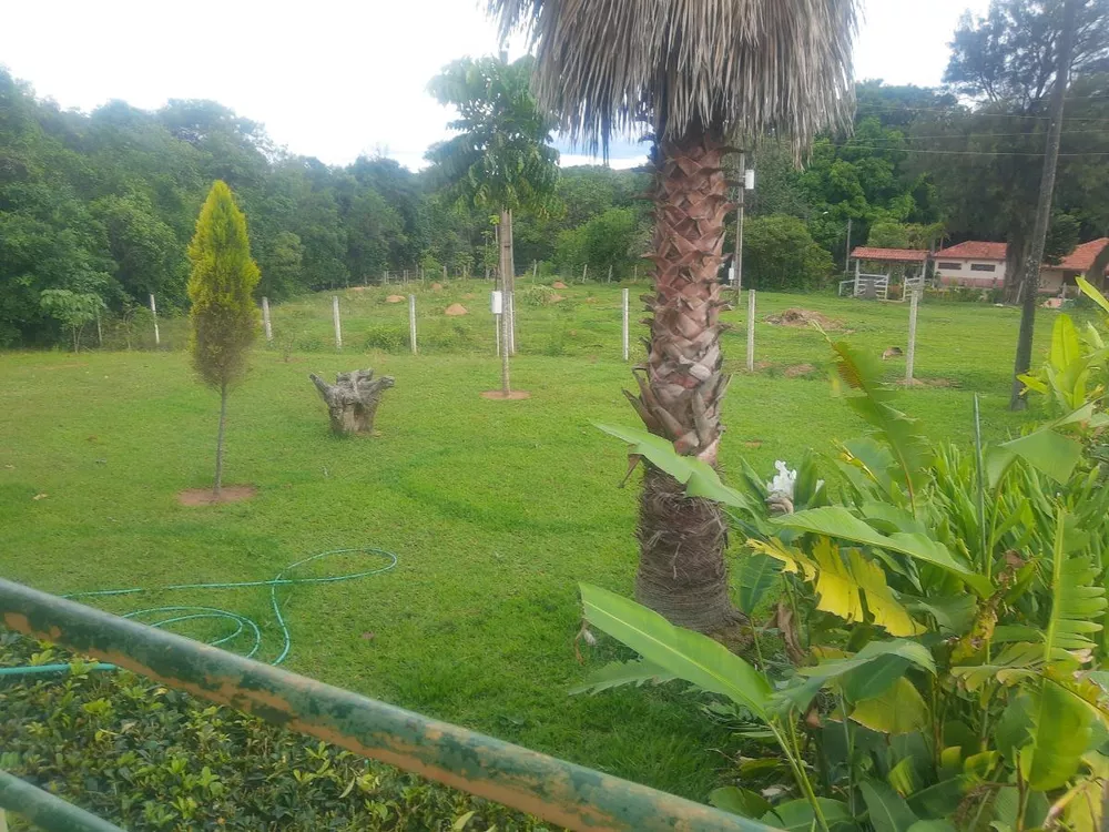 Fazenda, 4 hectares - Foto 7