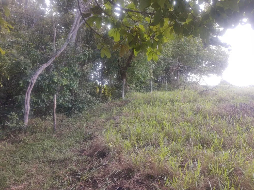 Fazenda, 4 hectares - Foto 12