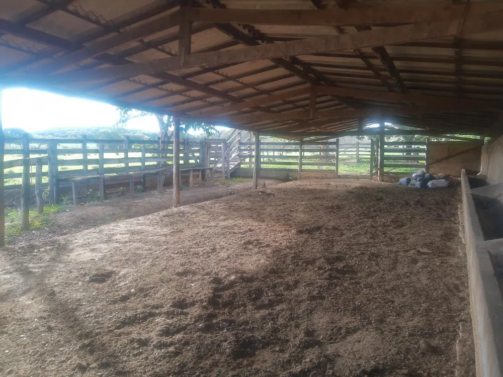 Fazenda, 4 hectares - Foto 15