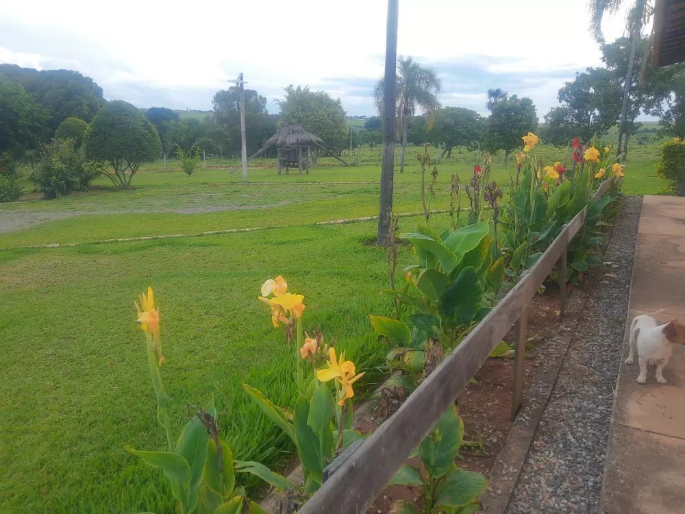 Prédio Inteiro à venda com 16 quartos, 38000m² - Foto 4