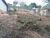 Loteamento e Condomínio, 360 m² - Foto 2