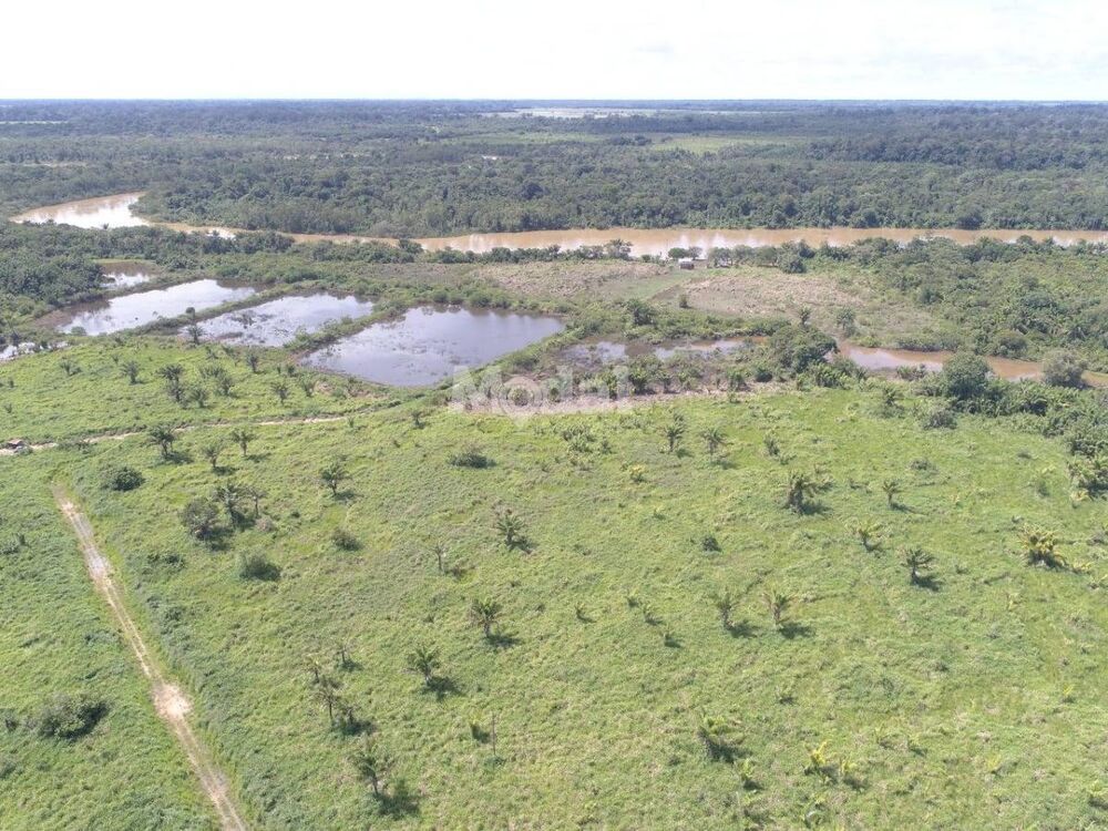 Fazenda-Sítio-Chácara, 3 quartos - Foto 6