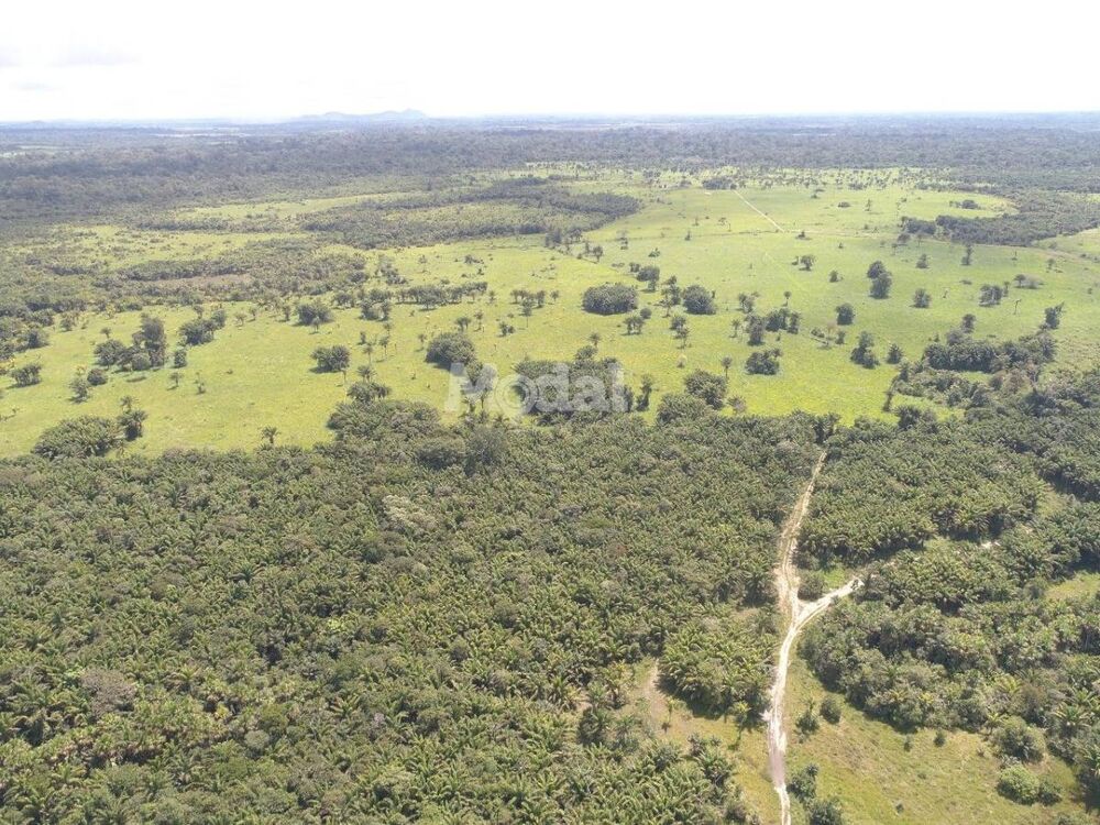 Fazenda-Sítio-Chácara, 3 quartos - Foto 4