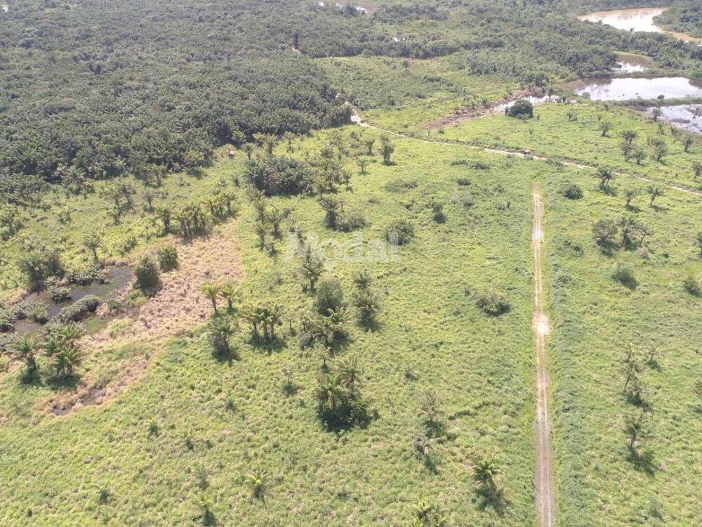 Fazenda-Sítio-Chácara, 3 quartos - Foto 7