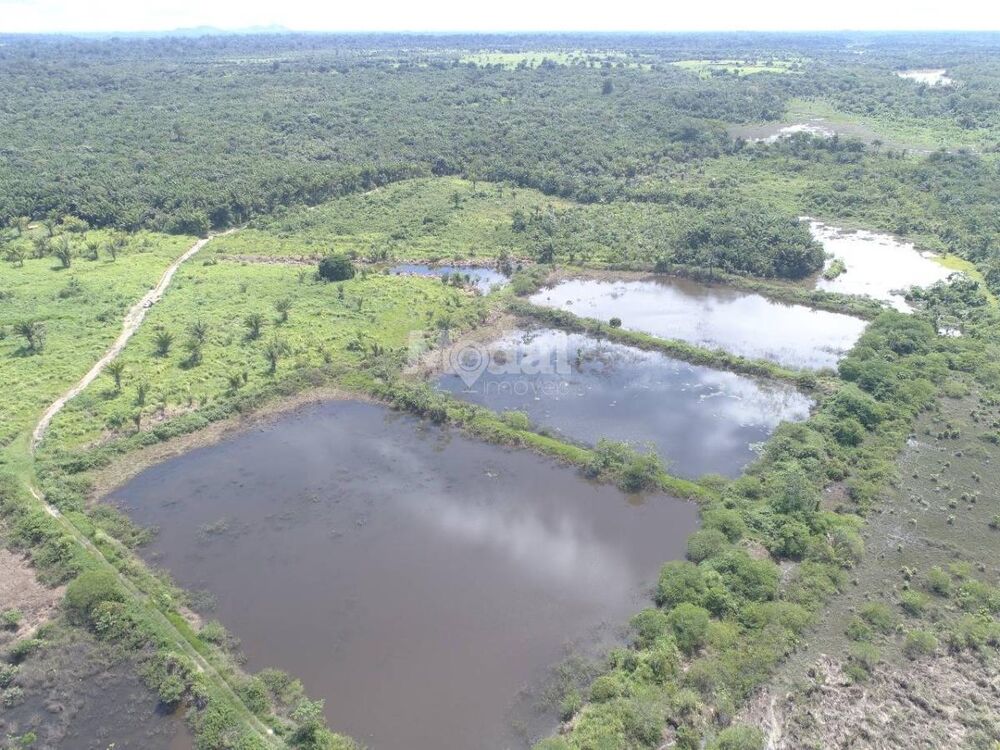 Fazenda-Sítio-Chácara, 3 quartos - Foto 8