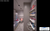 Apartamento, 3 quartos, 59 m² - Foto 4