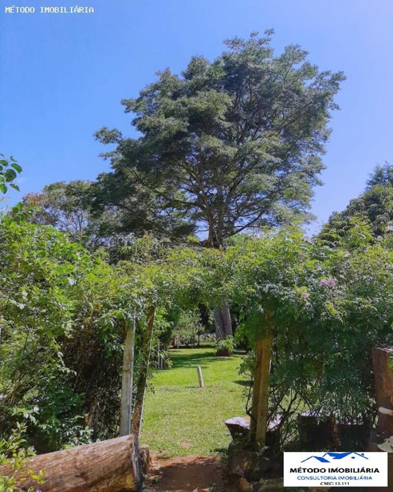 Chácara, 3 quartos, 5000 m² - Foto 7