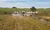 Fazenda-Sítio-Chácara, 4405 hectares - Foto 3