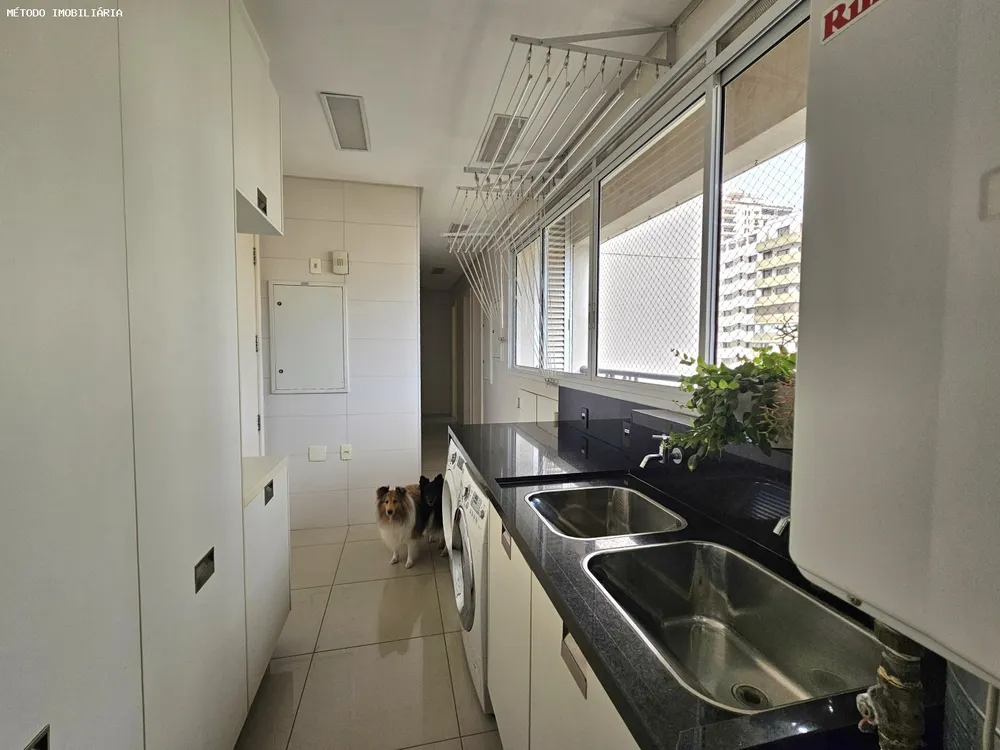Casa, 4 quartos, 400 m² - Foto 6